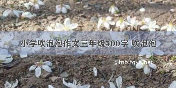 小学吹泡泡作文三年级500字 吹泡泡