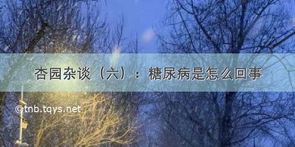 杏园杂谈（六）：糖尿病是怎么回事