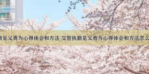 交警执勤见义勇为心得体会和方法 交警执勤见义勇为心得体会和方法怎么写(3篇)