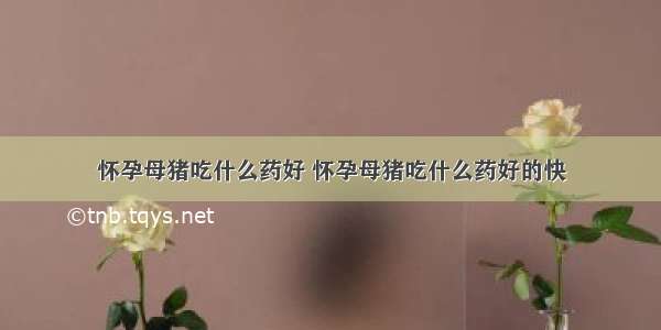 怀孕母猪吃什么药好 怀孕母猪吃什么药好的快