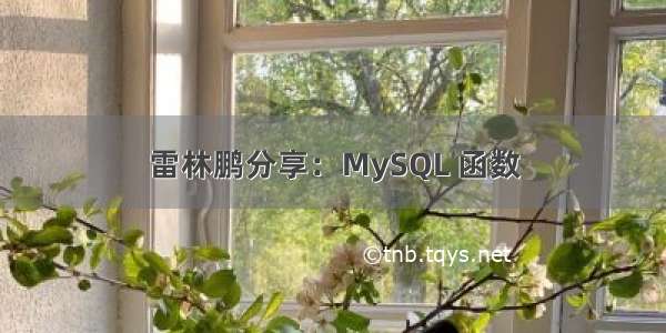 雷林鹏分享：MySQL 函数