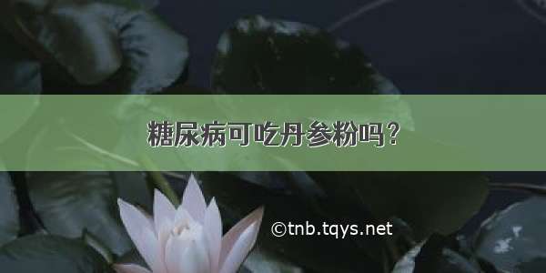 糖尿病可吃丹参粉吗？