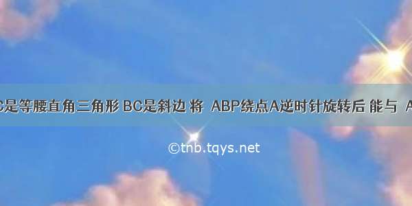 如图 △ABC是等腰直角三角形 BC是斜边 将△ABP绕点A逆时针旋转后 能与△ACD重合 