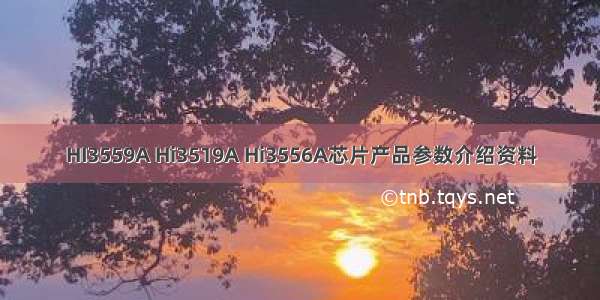 HI3559A Hi3519A Hi3556A芯片产品参数介绍资料