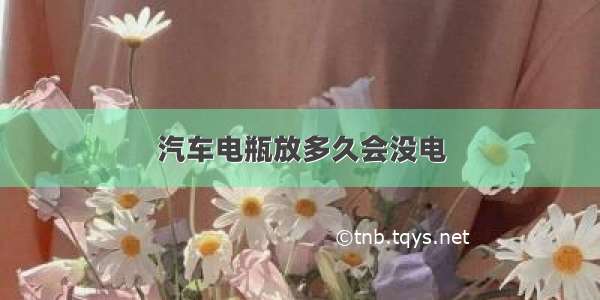 汽车电瓶放多久会没电