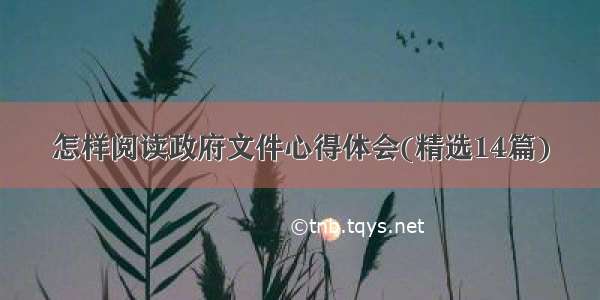 怎样阅读政府文件心得体会(精选14篇)