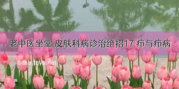 老中医坐堂 皮肤科病诊治绝招17 疖与疖病