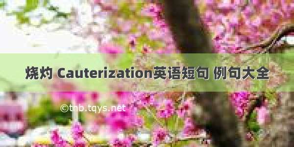 烧灼 Cauterization英语短句 例句大全