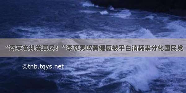 “蔡英文机关算尽！”李彦秀叹黄健庭被平白消耗来分化国民党