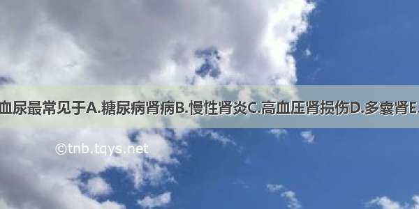 下列肾病中 血尿最常见于A.糖尿病肾病B.慢性肾炎C.高血压肾损伤D.多囊肾E.肾癌ABCDE