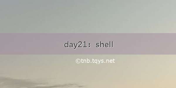 day21：shell