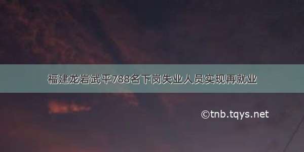 福建龙岩武平788名下岗失业人员实现再就业