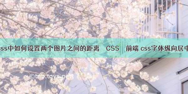 css中如何设置两个图片之间的距离 – CSS – 前端 css字体纵向居中