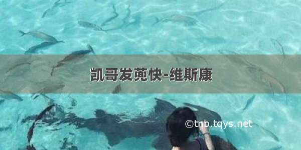 凯哥发蔸快-维斯康