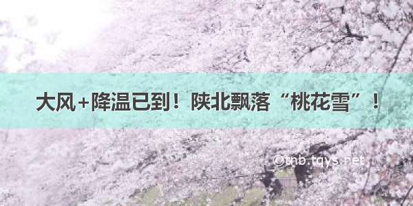 大风+降温已到！陕北飘落“桃花雪”！