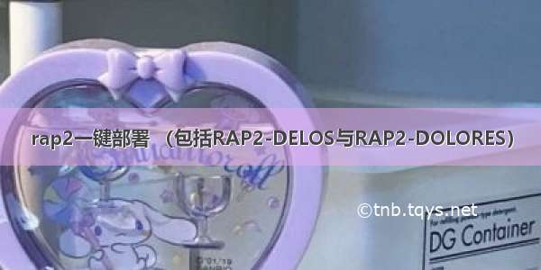rap2一键部署 （包括RAP2-DELOS与RAP2-DOLORES）