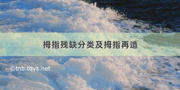 拇指残缺分类及拇指再造