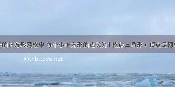 在如图所示的正方形网格中 每个小正方形的边长为1 格点三角形（顶点是网格线的交点