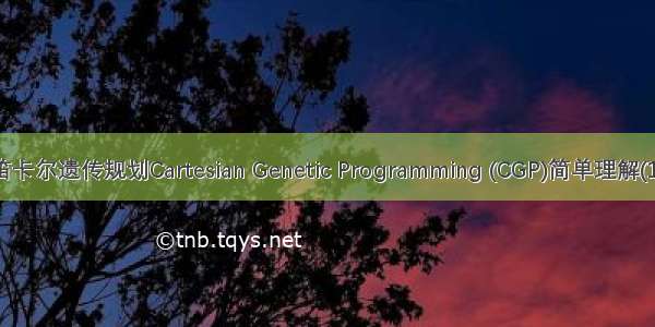笛卡尔遗传规划Cartesian Genetic Programming (CGP)简单理解(1)