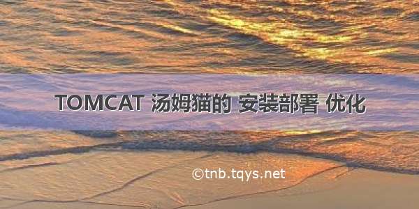 TOMCAT 汤姆猫的 安装部署 优化