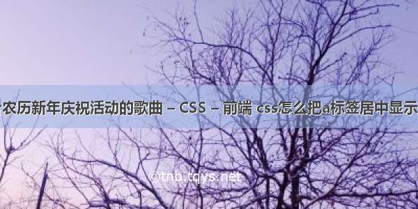 适合农历新年庆祝活动的歌曲 – CSS – 前端 css怎么把a标签居中显示图片