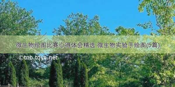 微生物绘图比赛心得体会精选 微生物实验手绘图(5篇)