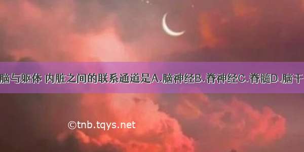 脑与躯体 内脏之间的联系通道是A.脑神经B.脊神经C.脊髓D.脑干