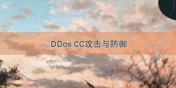 DDos CC攻击与防御