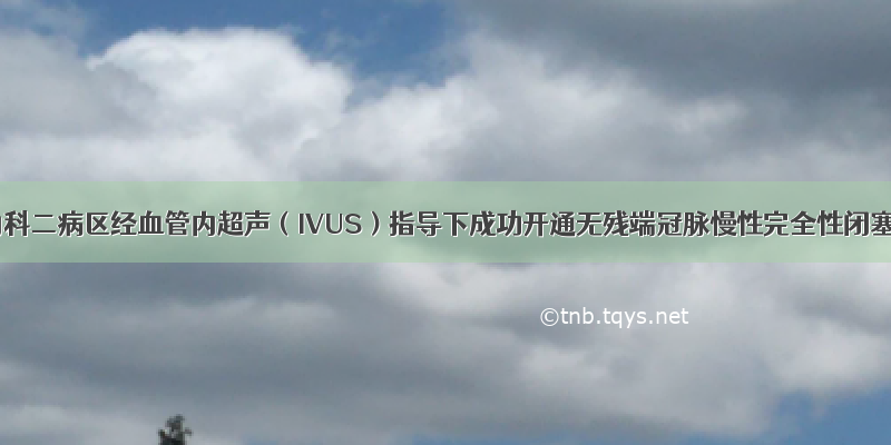 我院心内科二病区经血管内超声（IVUS）指导下成功开通无残端冠脉慢性完全性闭塞一例