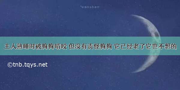 主人熟睡时被狗狗啃咬 但没有责怪狗狗 它已经老了它也不想的