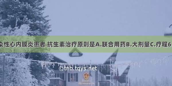 对亚急性感染性心内膜炎患者 抗生素治疗原则是A.联合用药B.大剂量C.疗程6～8周D.疗程