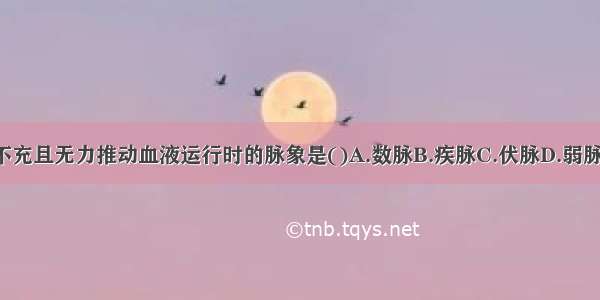 气血亏虚 脉管不充且无力推动血液运行时的脉象是()A.数脉B.疾脉C.伏脉D.弱脉E.实脉ABCDE