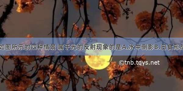 单选题如图所示的四种情景 属于光的反射现象的是A.水中倒影B.日食形成C.小孔