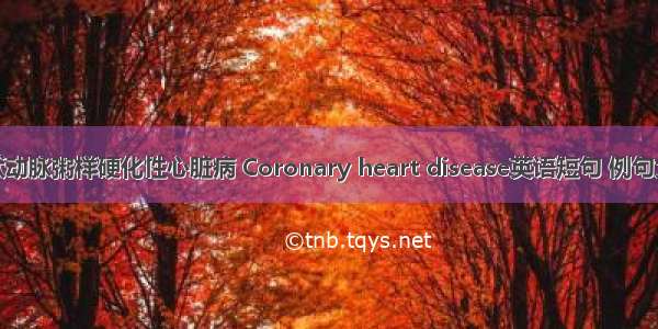 冠状动脉粥样硬化性心脏病 Coronary heart disease英语短句 例句大全