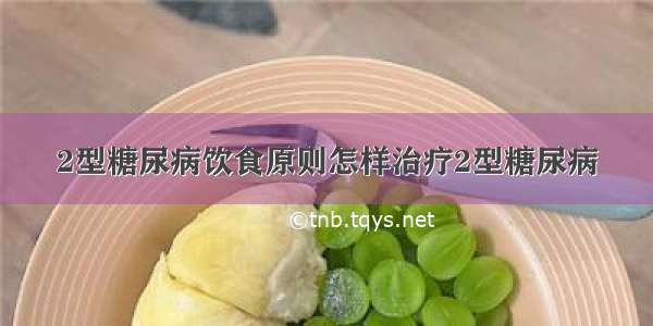 2型糖尿病饮食原则怎样治疗2型糖尿病