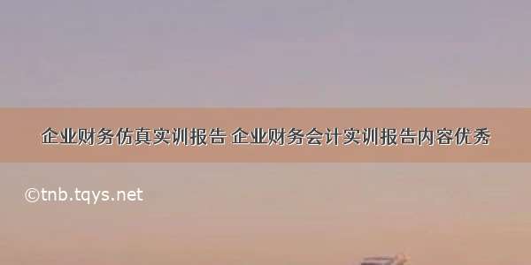 企业财务仿真实训报告 企业财务会计实训报告内容优秀