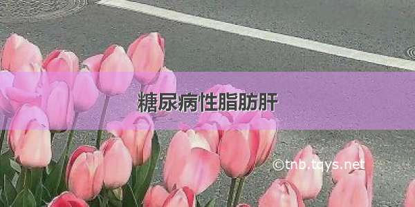 糖尿病性脂肪肝