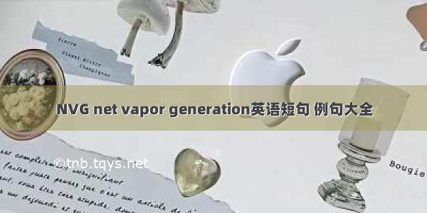NVG net vapor generation英语短句 例句大全