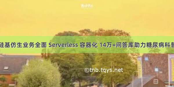 硅基仿生业务全面 Serverless 容器化 14万+问答库助力糖尿病科普