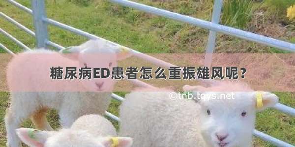 糖尿病ED患者怎么重振雄风呢？