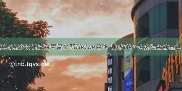 美鹰派参议员反对甲骨文和TikTok合作 要求TikTok必须全部出售