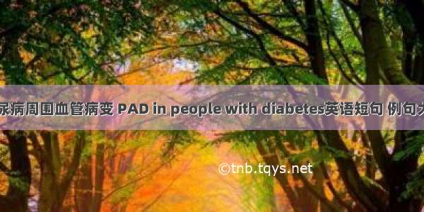 糖尿病周围血管病变 PAD in people with diabetes英语短句 例句大全
