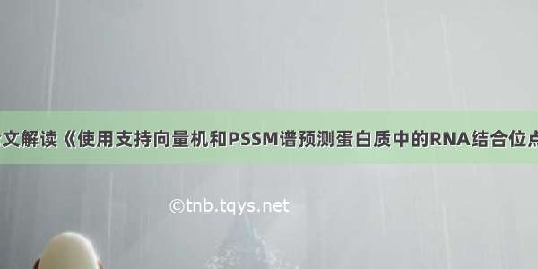 论文解读《使用支持向量机和PSSM谱预测蛋白质中的RNA结合位点》