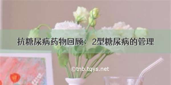 抗糖尿病药物回顾：2型糖尿病的管理