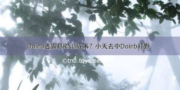 Doinb透露打RNG战术？小天去中Doinb打野