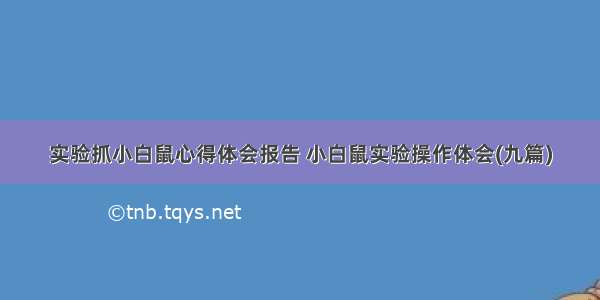 实验抓小白鼠心得体会报告 小白鼠实验操作体会(九篇)