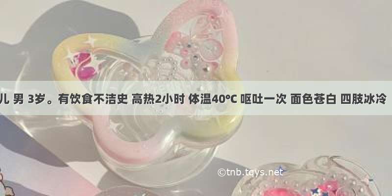 患儿 男 3岁。有饮食不洁史 高热2小时 体温40℃ 呕吐一次 面色苍白 四肢冰冷 