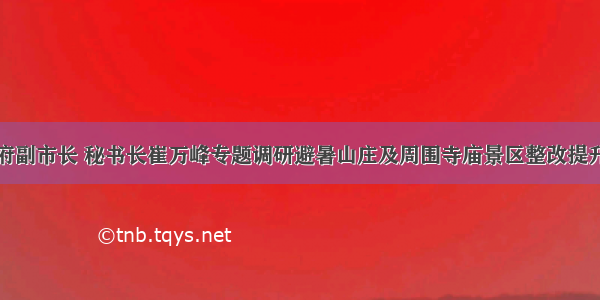 市政府副市长 秘书长崔万峰专题调研避暑山庄及周围寺庙景区整改提升工作