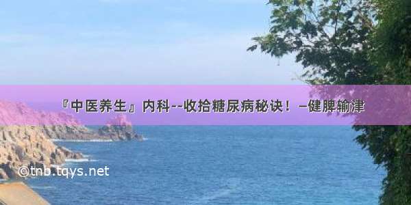 『中医养生』内科--收拾糖尿病秘诀！—健脾输津