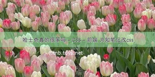 哈士奇真的很笨吗 – CSS – 前端 为知笔记改css